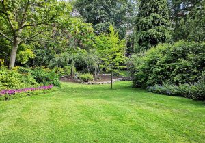 Optimiser l'expérience du jardin à Ansignan